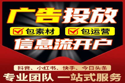 百度品牌专区推广的成效与案例